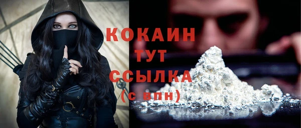 гидра Бронницы