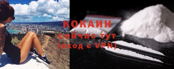 гидра Бронницы