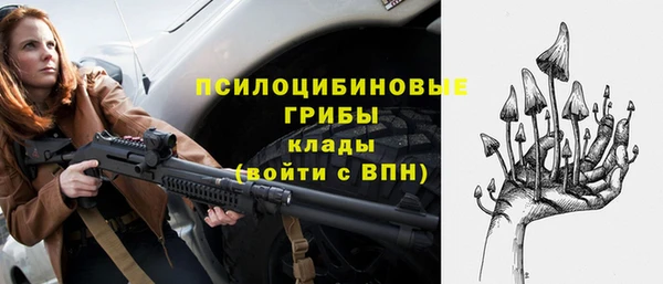 кокс Богородицк